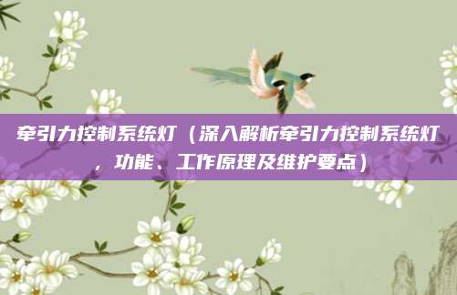 牵引力控制系统灯（深入解析牵引力控制系统灯，功能、工作原理及维护要点）
