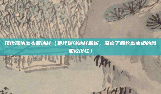 现代瑞纳怎么看油耗（现代瑞纳油耗解析，深度了解这款家轿的燃油经济性）