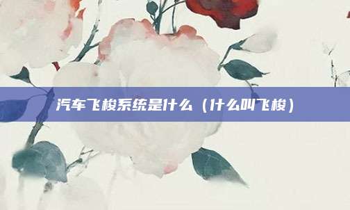 汽车飞梭系统是什么(什么叫飞梭)