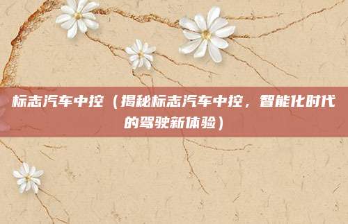 标志汽车中控（揭秘标志汽车中控，智能化时代的驾驶新体验）