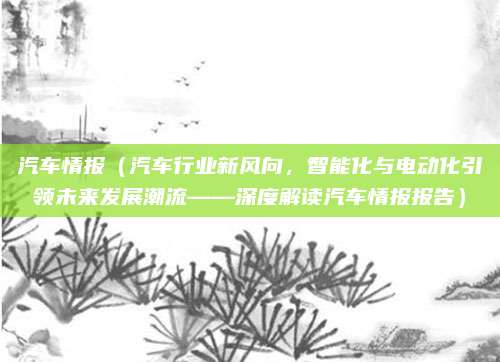 汽车情报（汽车行业新风向，智能化与电动化引领未来发展潮流——深度解读汽车情报报告）
