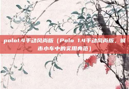 polo1.4手动风尚版（Polo 1.4手动风尚版，城市小车中的实用典范）