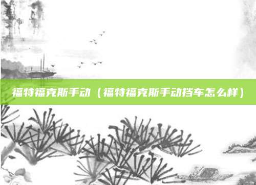 福特福克斯手动(福特福克斯手动挡车怎么样)