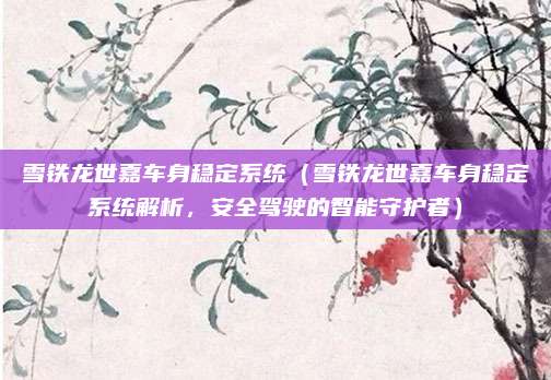 雪铁龙世嘉车身稳定系统（雪铁龙世嘉车身稳定系统解析，安全驾驶的智能守护者）