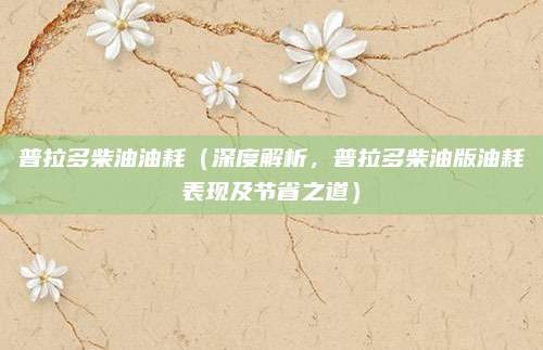 普拉多柴油油耗（深度解析，普拉多柴油版油耗表现及节省之道）