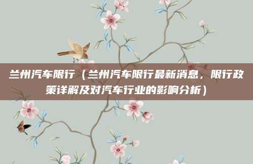 兰州汽车限行（兰州汽车限行最新消息，限行政策详解及对汽车行业的影响分析）