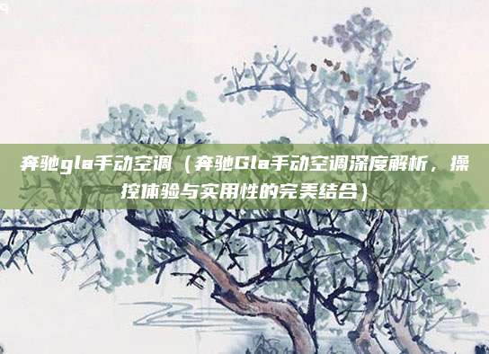 奔驰gla手动空调（奔驰Gla手动空调深度解析，操控体验与实用性的完美结合）