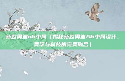 新款奥迪a6中网（揭秘新款奥迪A6中网设计，美学与科技的完美融合）