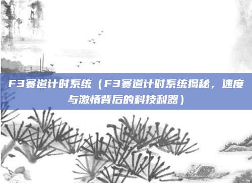 F3赛道计时系统（F3赛道计时系统揭秘，速度与激情背后的科技利器）