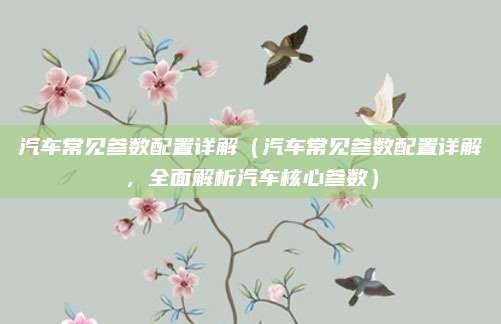 汽车常见参数配置详解（汽车常见参数配置详解，全面解析汽车核心参数）