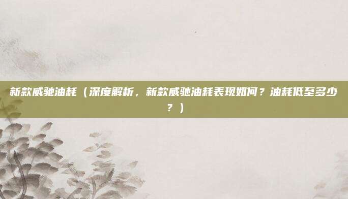新款威驰油耗（深度解析，新款威驰油耗表现如何？油耗低至多少？）
