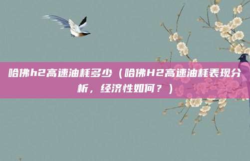 哈佛h2高速油耗多少（哈佛H2高速油耗表现分析，经济性如何？）