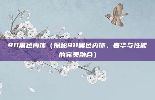 911黑色内饰（探秘911黑色内饰，奢华与性能的完美融合）