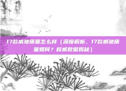 17款威驰质量怎么样（深度解析，17款威驰质量如何？权威数据揭秘）