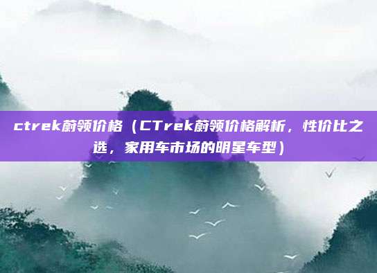 ctrek蔚领价格（CTrek蔚领价格解析，性价比之选，家用车市场的明星车型）