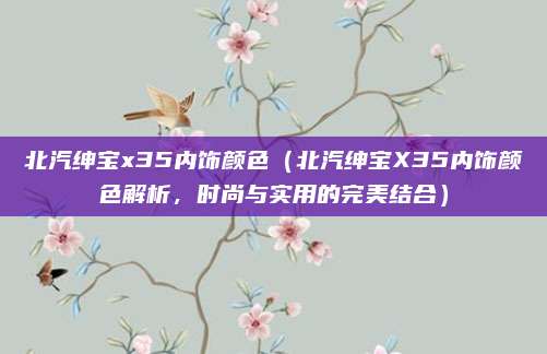 北汽绅宝x35内饰颜色（北汽绅宝X35内饰颜色解析，时尚与实用的完美结合）