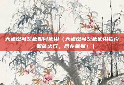 大通斑马系统如何使用（大通斑马系统使用指南，智能出行，尽在掌握！）