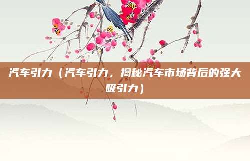 汽车引力（汽车引力，揭秘汽车市场背后的强大吸引力）