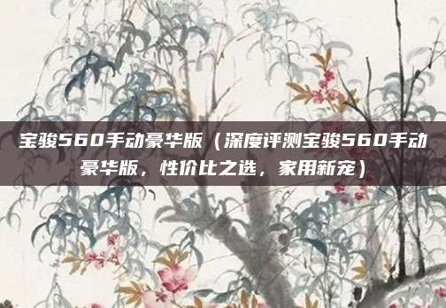 宝骏560手动豪华版（深度评测宝骏560手动豪华版，性价比之选，家用新宠）
