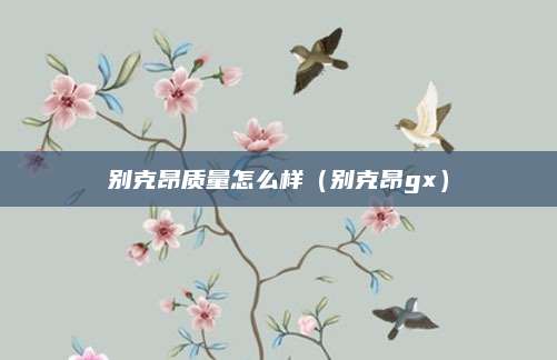别克昂质量怎么样(别克昂gx)