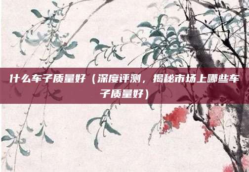 什么车子质量好（深度评测，揭秘市场上哪些车子质量好）