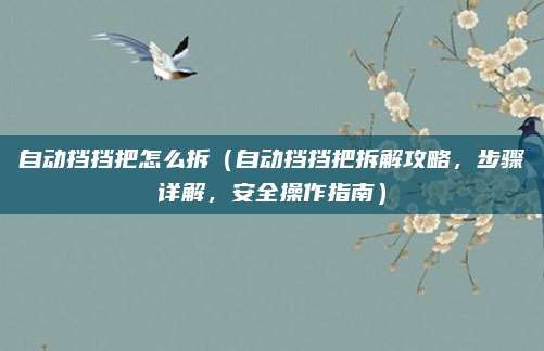 自动挡挡把怎么拆（自动挡挡把拆解攻略，步骤详解，安全操作指南）