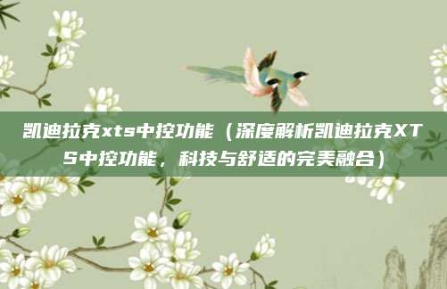 凯迪拉克xts中控功能（深度解析凯迪拉克XTS中控功能，科技与舒适的完美融合）