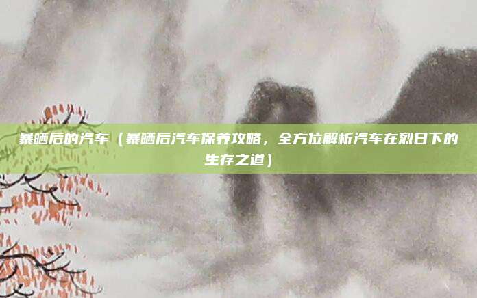 暴晒后的汽车（暴晒后汽车保养攻略，全方位解析汽车在烈日下的生存之道）