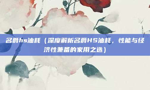 名爵hs油耗（深度解析名爵HS油耗，性能与经济性兼备的家用之选）
