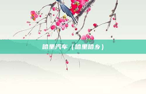 哈里汽车(哈里哈乡)