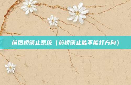 前后桥锁止系统(前桥锁止能不能打方向)