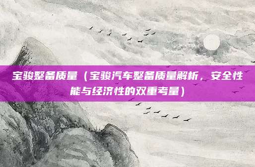 宝骏整备质量（宝骏汽车整备质量解析，安全性能与经济性的双重考量）