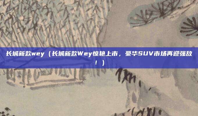 长城新款wey（长城新款Wey惊艳上市，豪华SUV市场再迎强敌！）