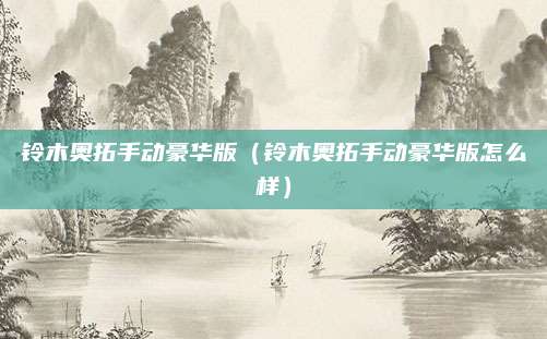 铃木奥拓手动豪华版(铃木奥拓手动豪华版怎么样)