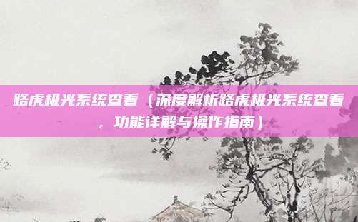 路虎极光系统查看（深度解析路虎极光系统查看，功能详解与操作指南）