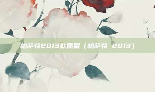 帕萨特2013款质量(帕萨特 2013)