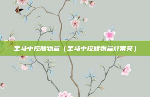 宝马中控储物盒(宝马中控储物盒灯常亮)