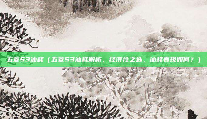 五菱S3油耗（五菱S3油耗解析，经济性之选，油耗表现如何？）