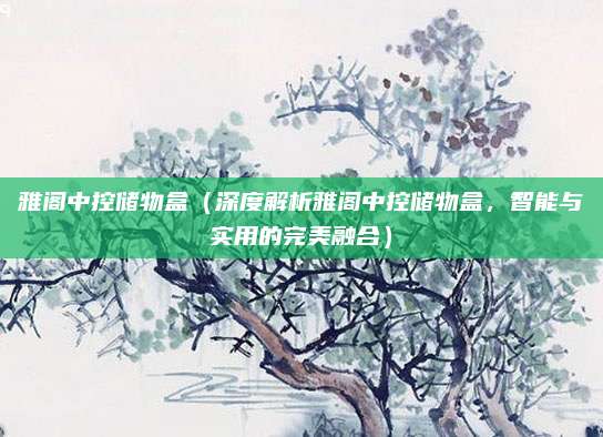 雅阁中控储物盒（深度解析雅阁中控储物盒，智能与实用的完美融合）