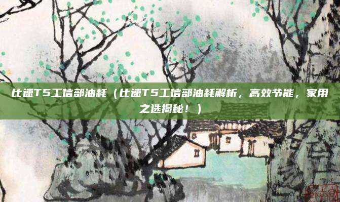 比速T5工信部油耗（比速T5工信部油耗解析，高效节能，家用之选揭秘！）