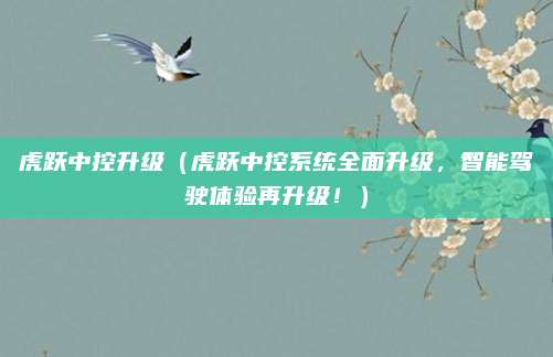 虎跃中控升级（虎跃中控系统全面升级，智能驾驶体验再升级！）