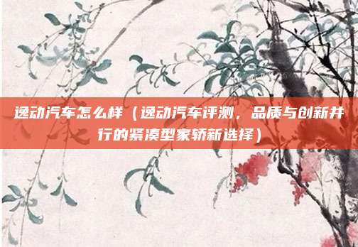 逸动汽车怎么样（逸动汽车评测，品质与创新并行的紧凑型家轿新选择）