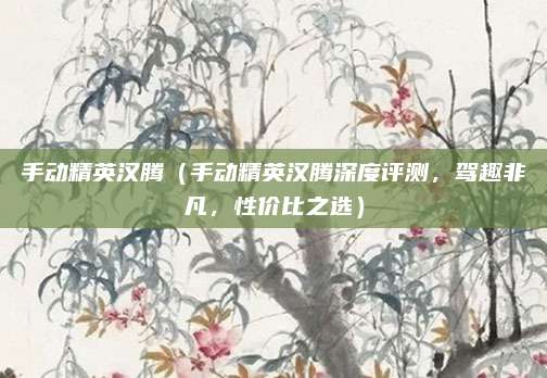手动精英汉腾（手动精英汉腾深度评测，驾趣非凡，性价比之选）