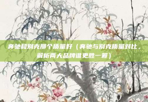 奔驰和别克那个质量好（奔驰与别克质量对比，解析两大品牌谁更胜一筹）