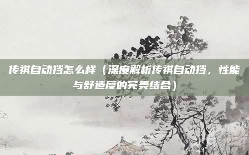 传祺自动挡怎么样（深度解析传祺自动挡，性能与舒适度的完美结合）