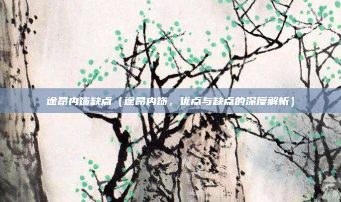 途昂内饰缺点（途昂内饰，优点与缺点的深度解析）
