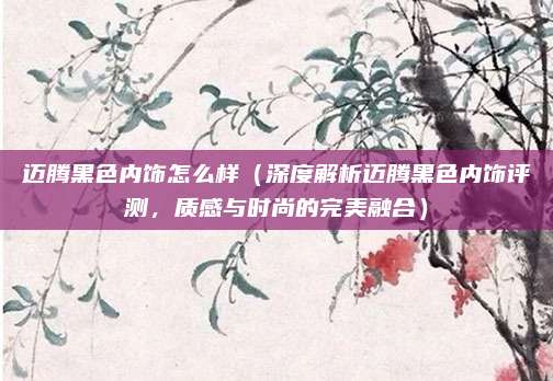 迈腾黑色内饰怎么样（深度解析迈腾黑色内饰评测，质感与时尚的完美融合）