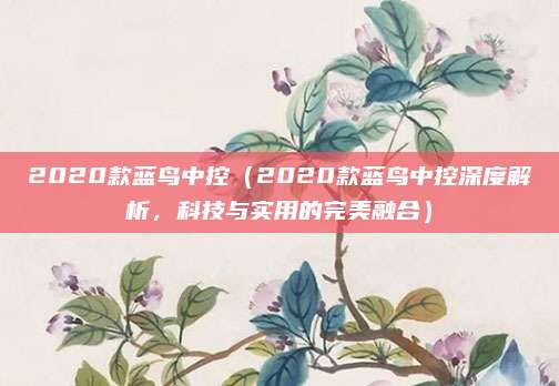 2020款蓝鸟中控（2020款蓝鸟中控深度解析，科技与实用的完美融合）