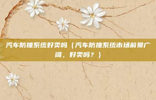 汽车防撞系统好卖吗（汽车防撞系统市场前景广阔，好卖吗？）
