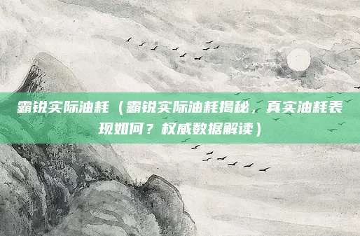 霸锐实际油耗（霸锐实际油耗揭秘，真实油耗表现如何？权威数据解读）